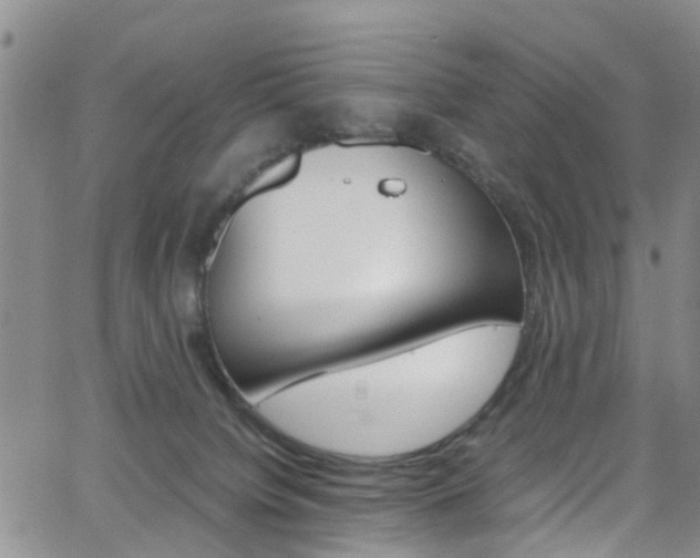 X0000062630084200512210949