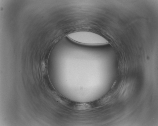 X0000062630087200512210949