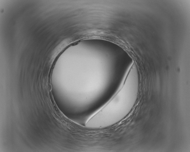 X0000062630099200512210949
