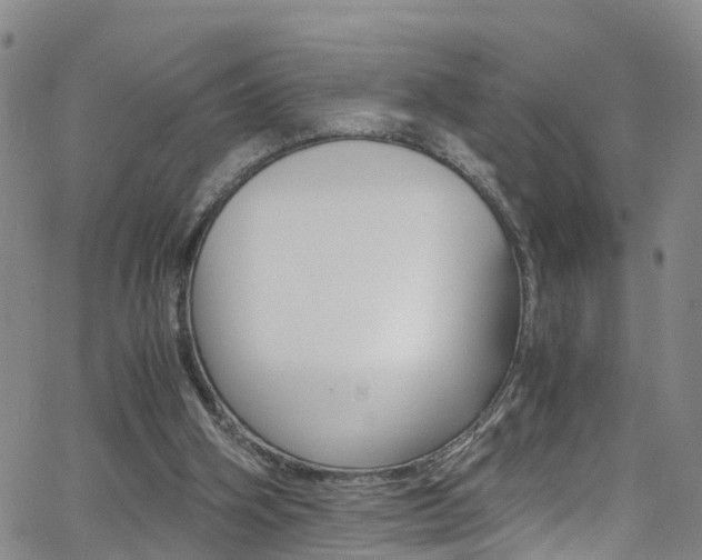 X0000062630106200512210948