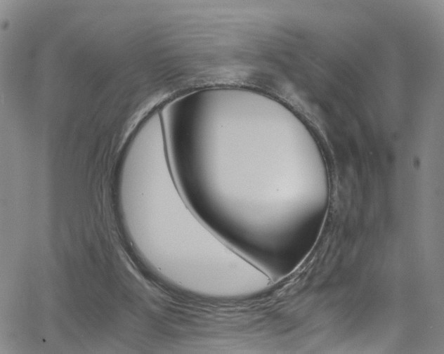 X0000062630107200512210948