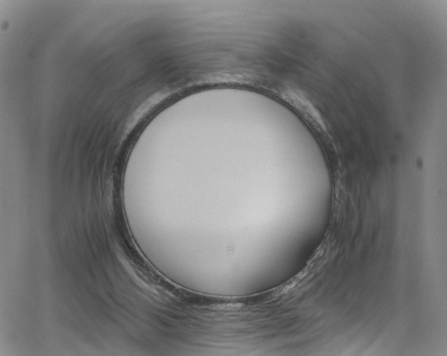 X0000062630108200512210948