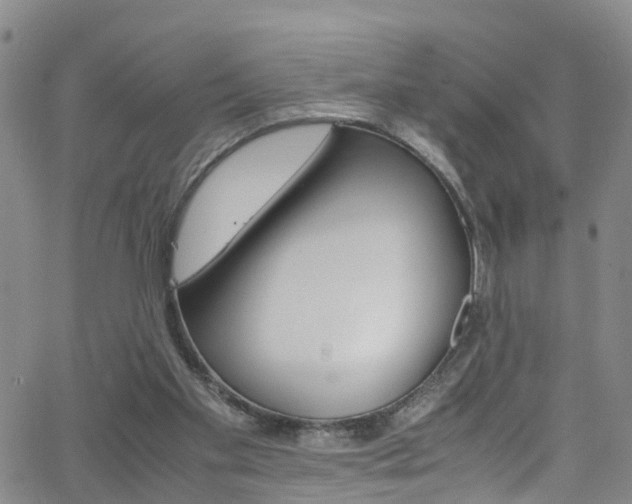 X0000062630109200512210948