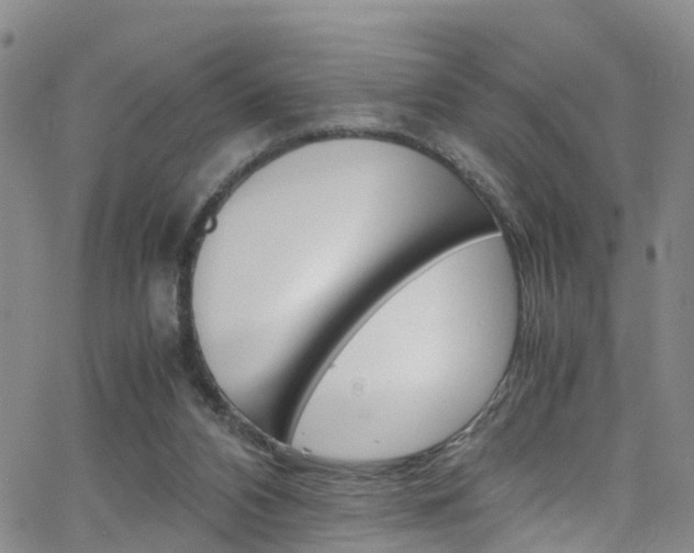 X0000062630112200512210948