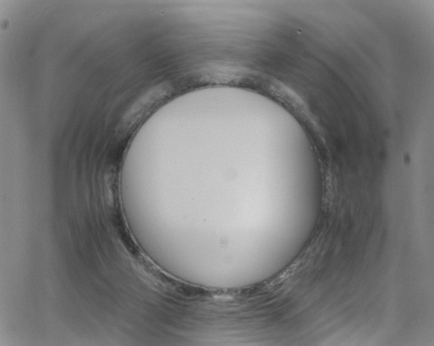 X0000062630114200512210948