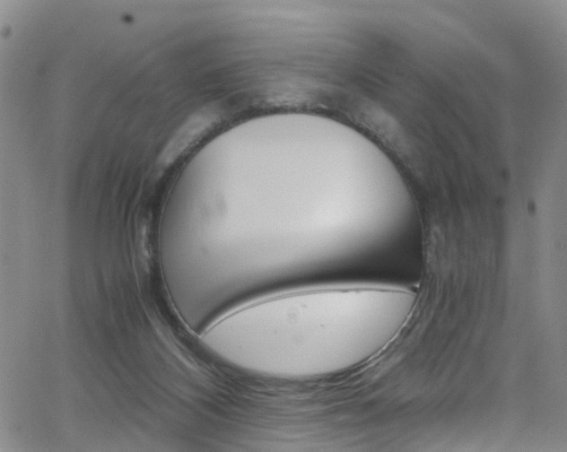 X0000062630116200512210948