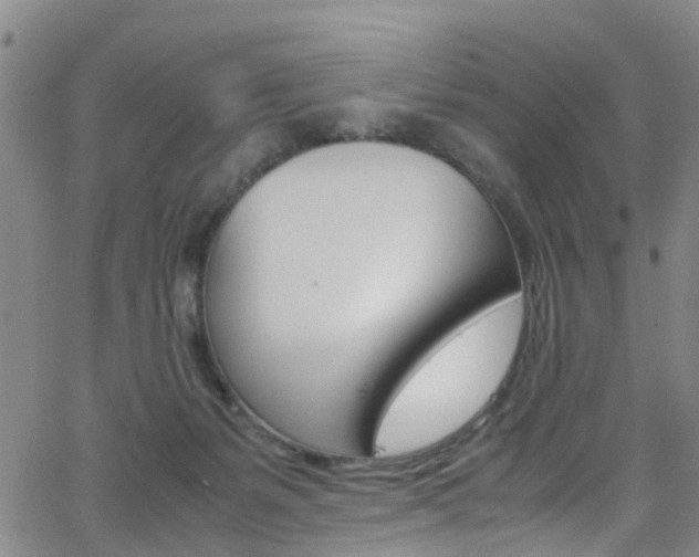 X0000062630127200512210948