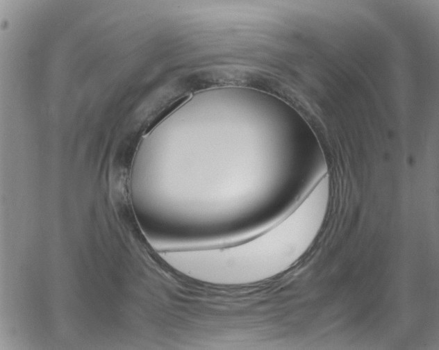 X0000062630141200512210948