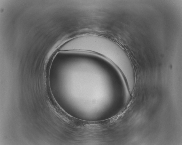 X0000062630150200512210947