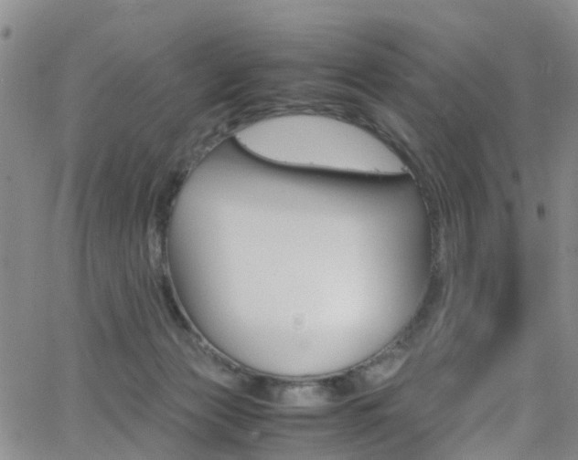 X0000062630173200512210948