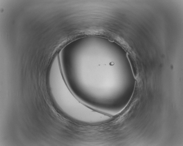 X0000062630201200512210947