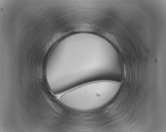 X0000062630204200512210947