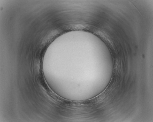 X0000062630206200512210947