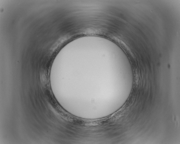 X0000062630208200512210947
