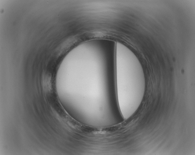 X0000062630216200512210947
