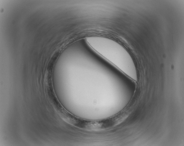 X0000062630217200512210947