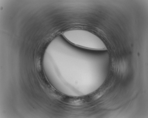 X0000062630267200512210946