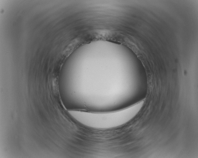 X0000062630276200512210946