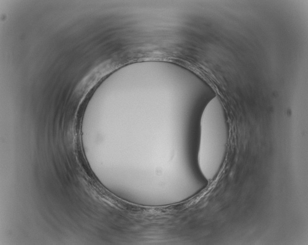 X0000062630290200512210945
