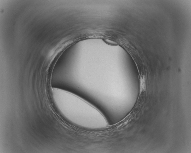 X0000062630291200512210945