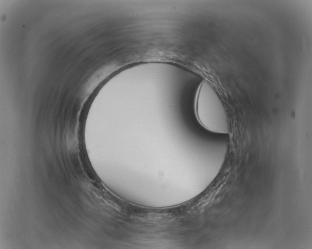 X0000062630292200512210945