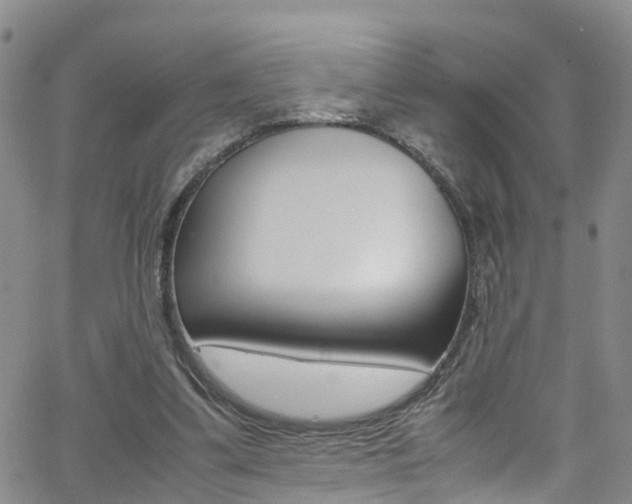 X0000062630299200512210945