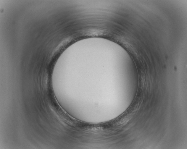 X0000062630304200512210945