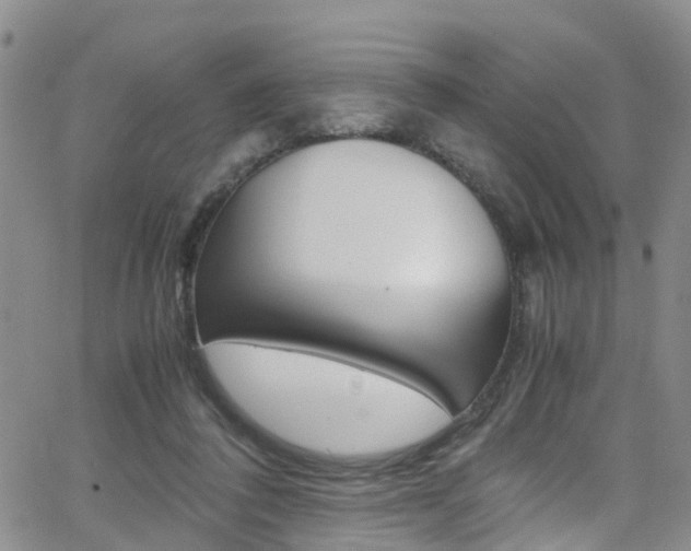X0000062630308200512210945