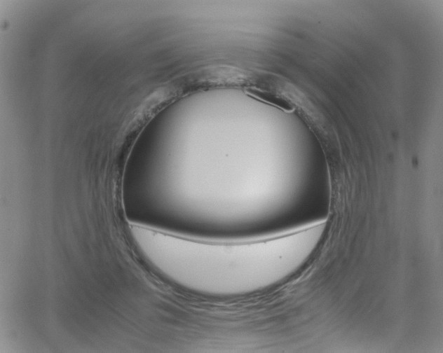 X0000062630309200512210945