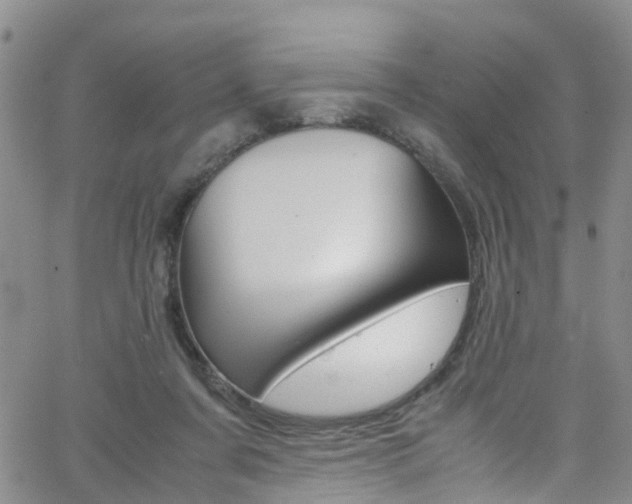 X0000062630311200512210945
