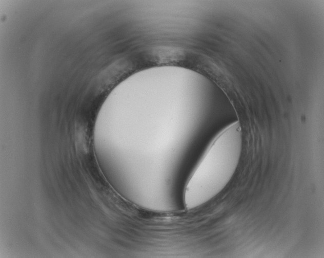 X0000062630316200512210945