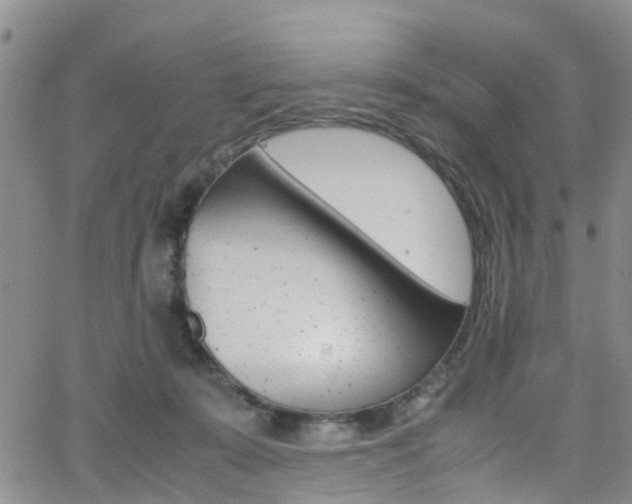 X0000062630319200512210945