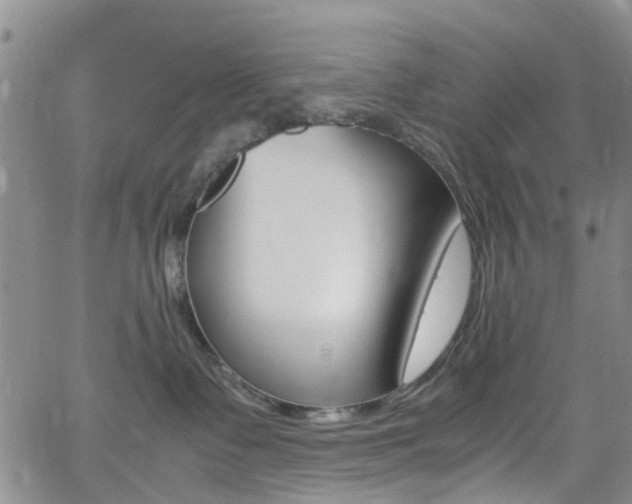 X0000062630335200512210945