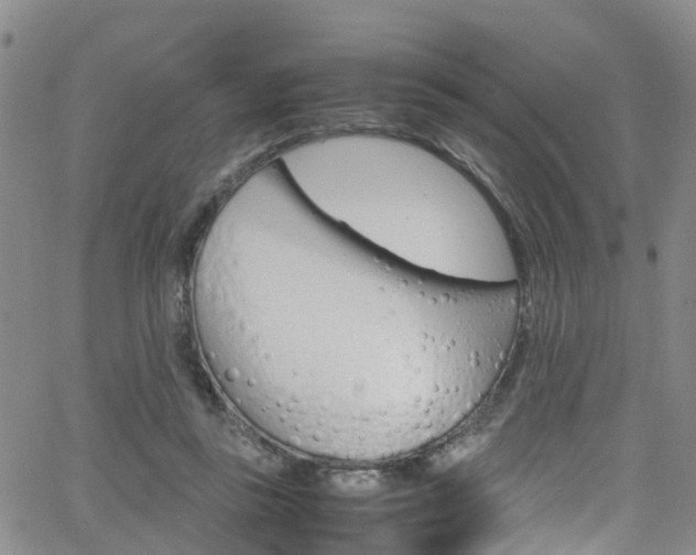 X0000062630355200512210944