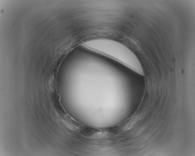 X0000062630364200512210944