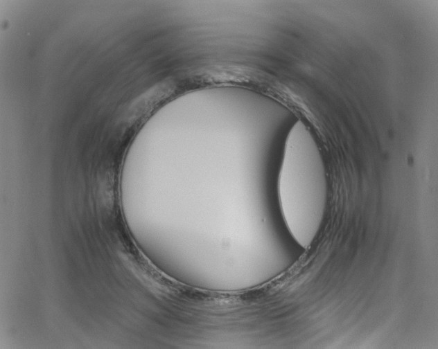 X0000062630402200512210944