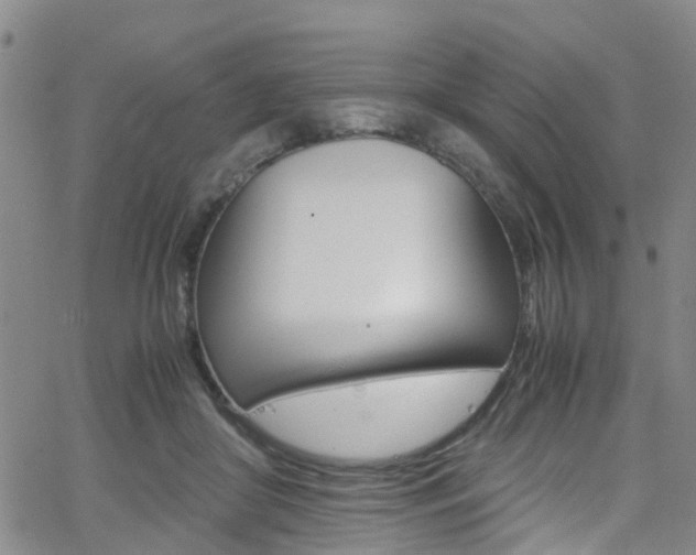 X0000062630410200512210943