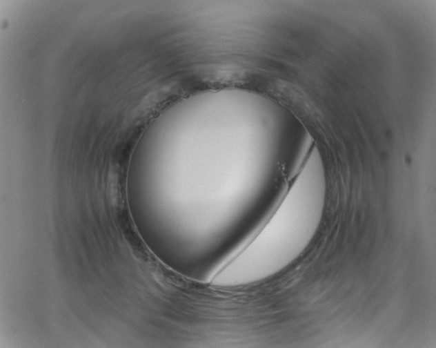 X0000062630416200512210943