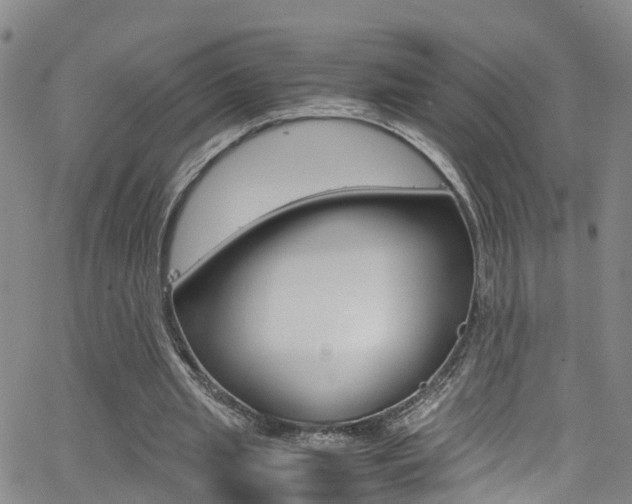 X0000062630437200512210942