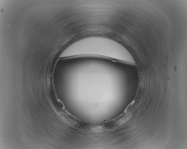 X0000062630456200512210943
