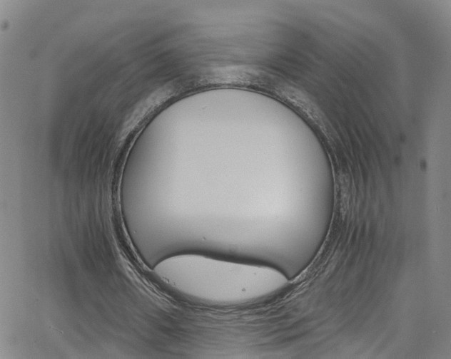 X0000062630482200512210942