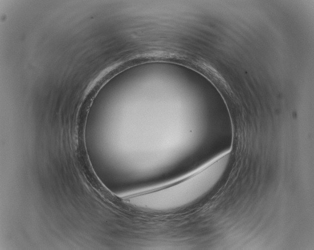 X0000062630484200512210942