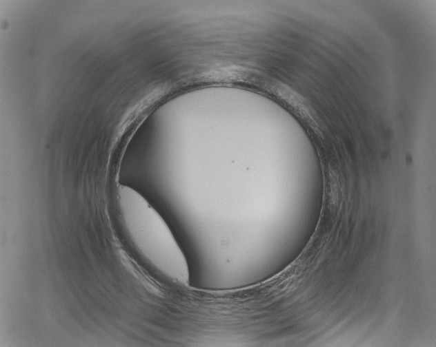 X0000062630486200512210942