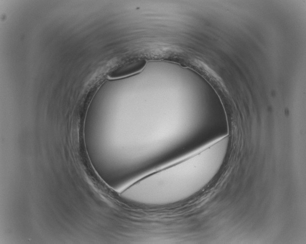 X0000062630493200512210942