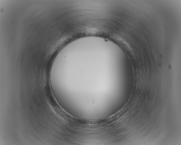 X0000062630496200512210942