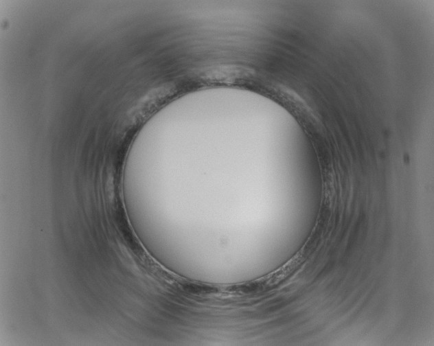 X0000062630504200512210942