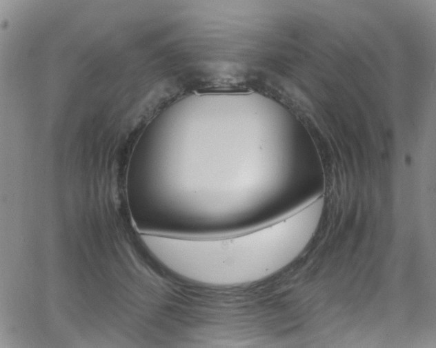 X0000062630512200512210942