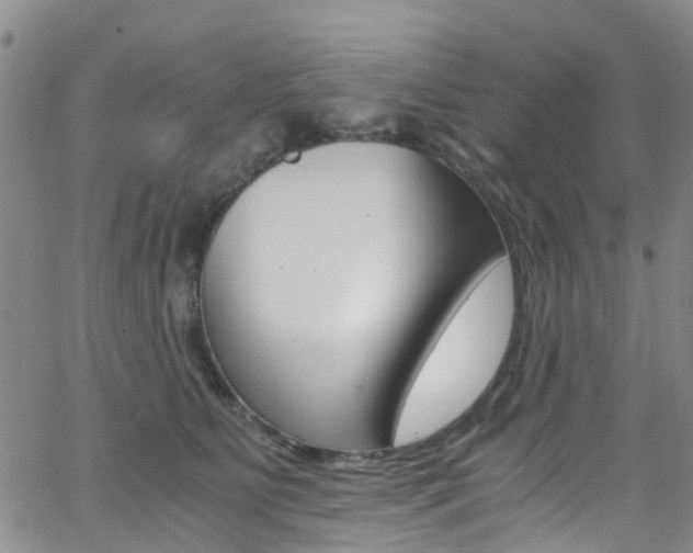 X0000062630515200512210941