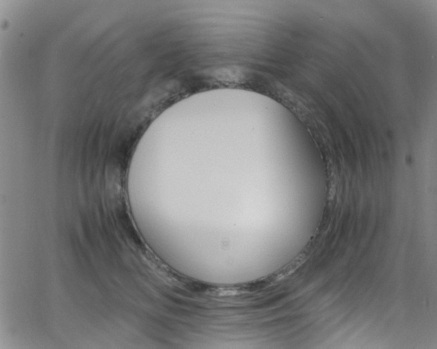 X0000062630518200512210941