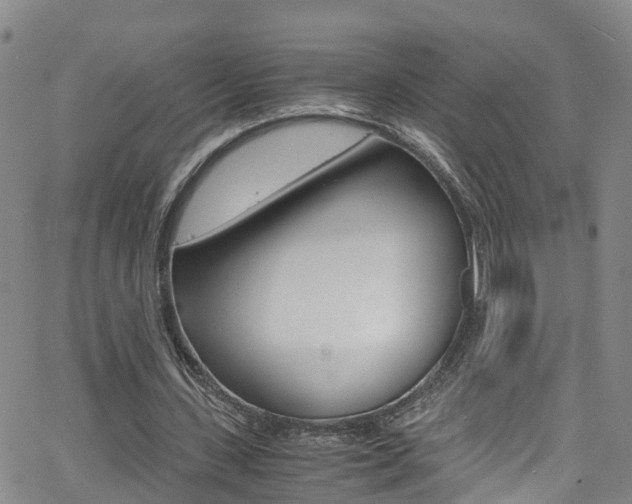 X0000062630531200512210940